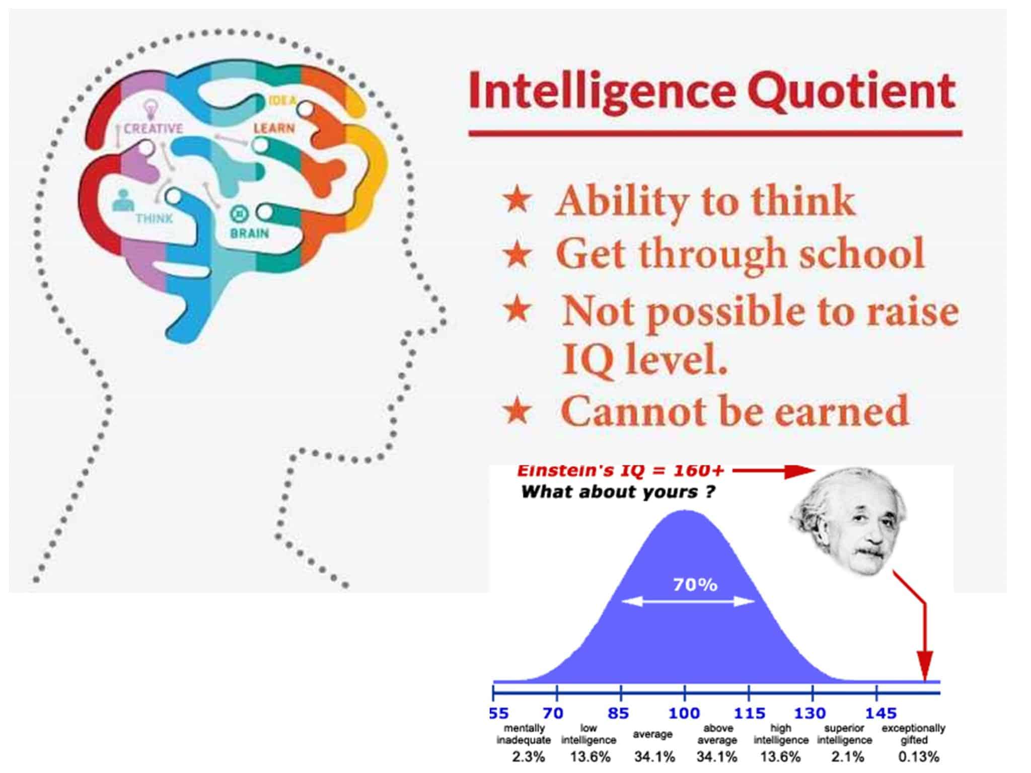 what-country-has-the-highest-iq-nimble-freelancer